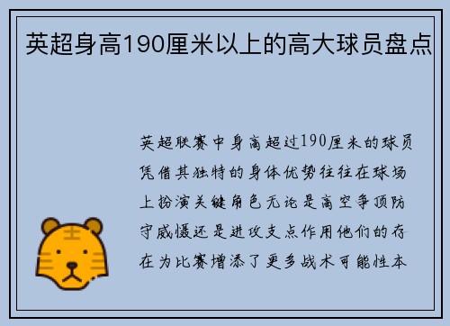 英超身高190厘米以上的高大球员盘点
